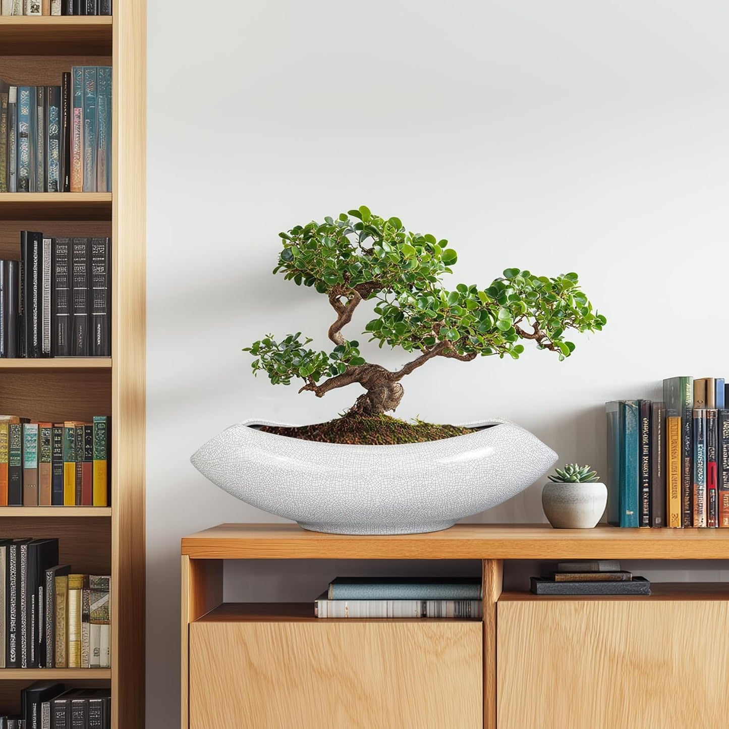 Ceramic Bonsai Tree Pot - 18 Inch Ceramic Pots for Plants, Large Succulent Planter with Drainage Hole for Indoor Outdoor, Unique Planters for Flower, Home Decor, Gardening Gifts, White-Black