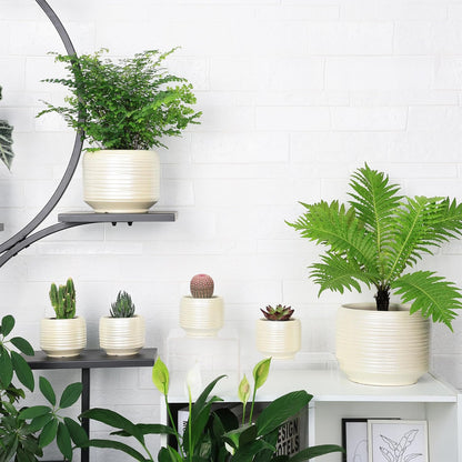 Mini Succulent Planter Set – 3.7 Inch Ceramic Pots with Drainage for Indoor Plants, Small Decorative Flower Pots for Cactus and House Plants, Set of 4