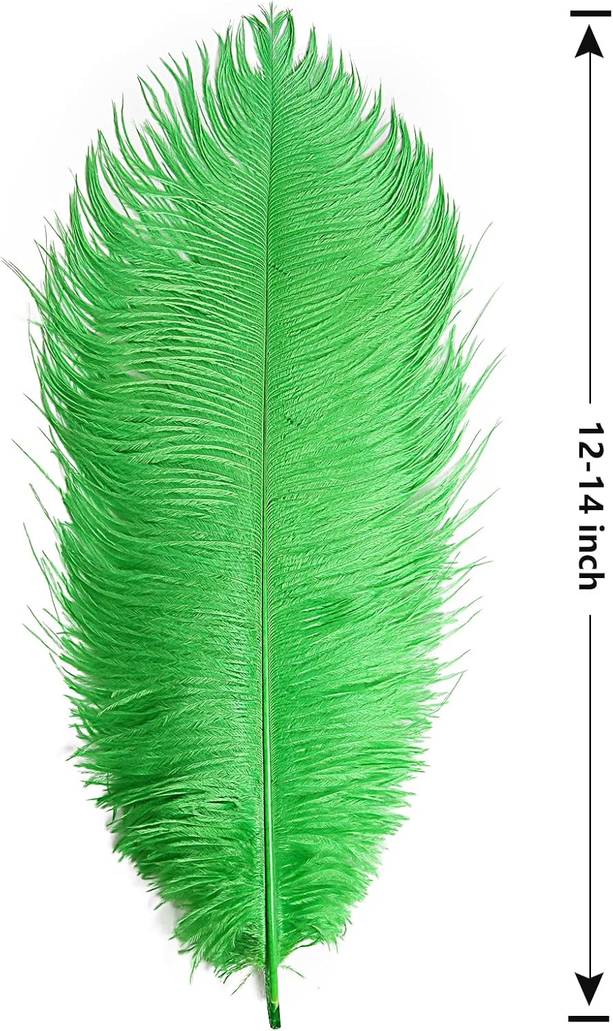 THARAHT Green Ostrich Feathers 12pcs Large Natural Bulk 12-14Inch 30cm-35cm for Wedding Party Centerpieces Mardi Gras and Home Decoration Feathers