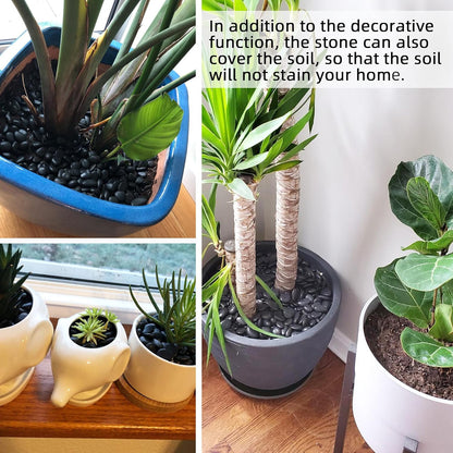 CJGQ Black Pebbles for Plants 7lb Bulk Bag Aquarium Gravel 0.5"- 1" Decorative Polished Fish Tank Stone River Rocks