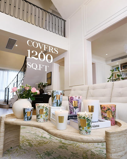 M&SENSE Peony Blush Sude Scented Natural Soy Wax Candle, 14.1oz 60 Hours Long Lasting Slow Burning Candles for Home Decor, Aromatherapy Candle for Stress Relief