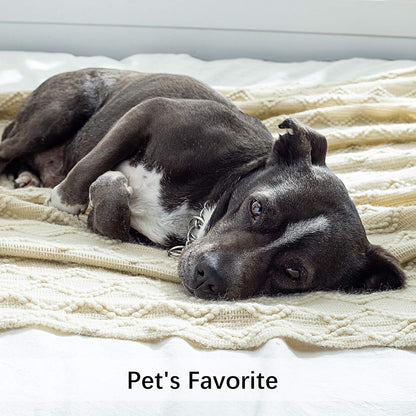 MIULEE Knitted Beige Throw Blanket Soft Sofa Knit Blanket for Couch 50 x 60 Inches, Solid Cozy Lightweight Wave Pattern Decorative Blankets with Tassels for Women, Kids and Babys