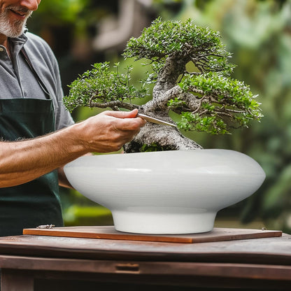 Bonsai Pots 13 Inch - Ceramic Succulent Pots with Drainage Hole Decorative Plant Pot Indoor Large Outdoor Planter Modern Flower Pot for Home Garden Office Room Decor Gray