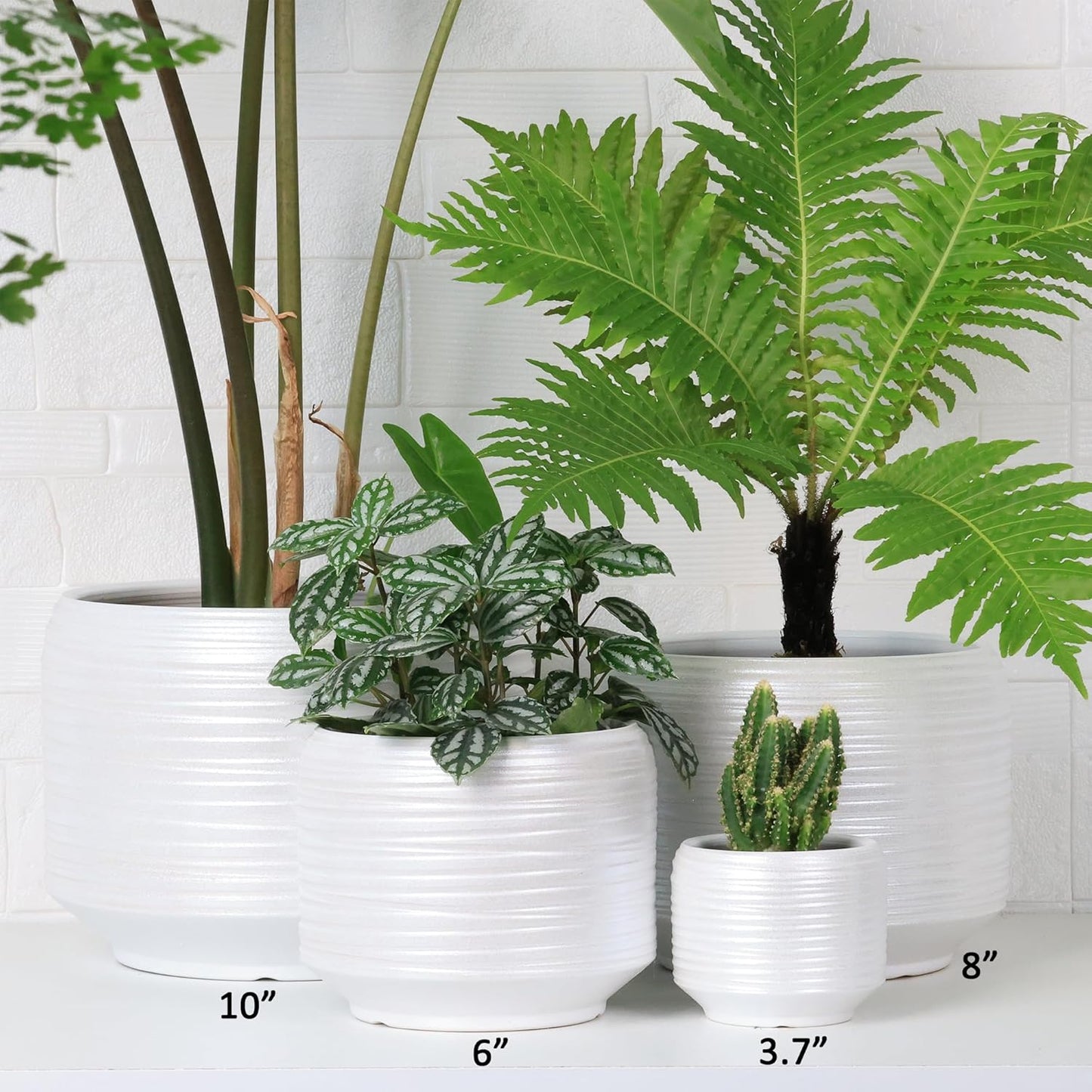 8 Inch + 6 Inch Ceramic Plant Pots Indoor with Drainage – Flower Pot Set, Decorative Indoor Planters for House Plants and Garden Use