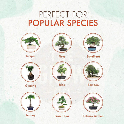 Bonsai Fertilizer - Gentle Slow Release Plant Food Pellets - Ideal for All Indoor and Outdoor Bonsai Tree Plants in Pots (5 oz)