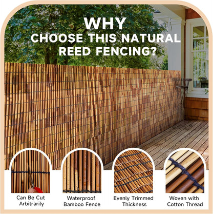 ZNCMRR Natural Reed Fencing Rolls,4FT X 16.4FT Reed Screen Curtain Balcony Reed Fence for Outdoor Backyard Patio（Brown）