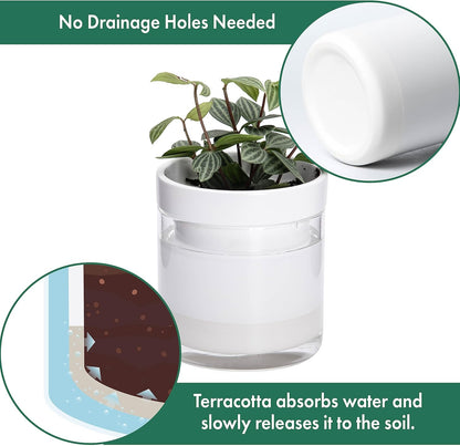 Phoenix Vine 4 Inch Self Watering Planter, White Terracotta Clay Pot with Glass Reservoir for Indoor Plants, Herbs, Flowers, Set of 4, 52-B-E-4