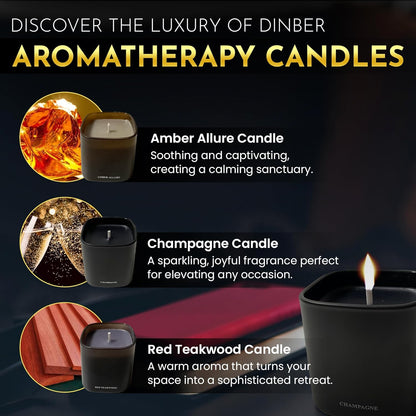 Candle Gift Set ??3 Scented Soy Candles, Clean Burn 50+ Hrs ??Flower-Inspired Scents: Amber, Red Tea Wood, Champagne ??Bulk Set for Women Giftset, 9.8oz Each, Gift Idea for Women, Home Decor, Birthday