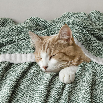 MIULEE Green Super Soft Throw Blanket for Bed, Twin Size Cozy Fluffy Warm Blankets Knit Blankets for Couch, Sofa, Chair, Living Room, Camping, Picnic, 60 x 80 inch