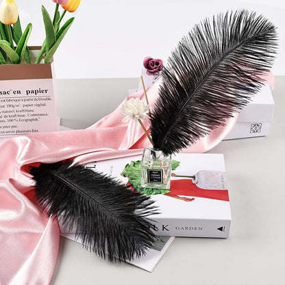 THARAHT Black Ostrich Feathers 24pcs Natural Bulk 8-10Inch 20cm-25cm for Crafts Wedding Party Centerpieces Halloween and Home Decoration Feathers