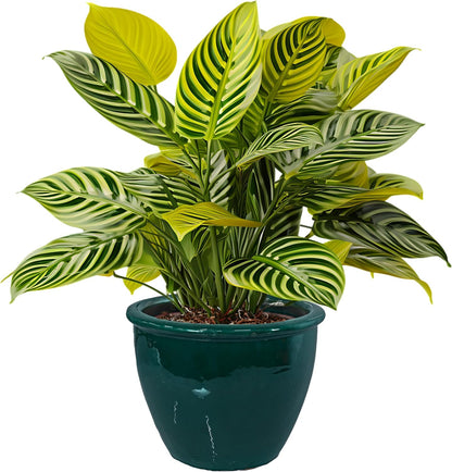 Sunnydaze Chalet Large Ceramic Plant Pot - Round Outdoor Glazed Ceramic Planter Pot with Drainage - Dark Green - 14.5"