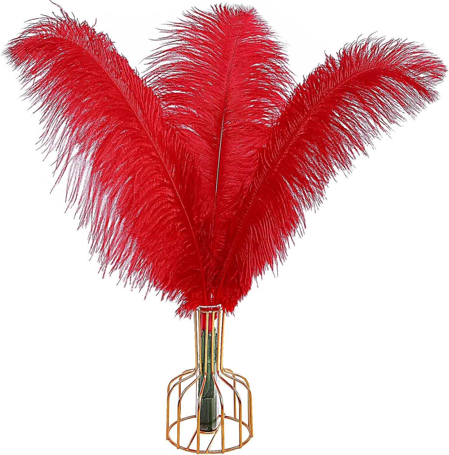 THARAHT Red Ostrich Feathers 12pcs Large Natural Bulk 14-16Inch 35cm-40cm for Wedding Party Centerpieces Halloween and Home Decoration Feathers