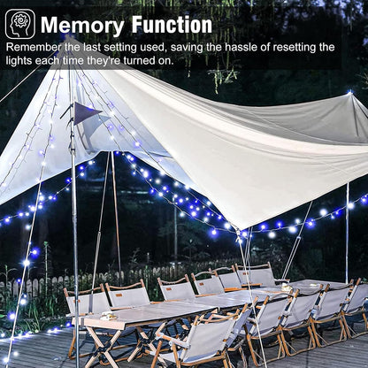 Christmas Lights Outdoor, 66FT 200 LED Christmas Tree Lights with 8 Modes Waterproof, Green Wire Plug in String Light for Indoor Patio Garden Xmas Party Wedding Holiday Decor, Blue White