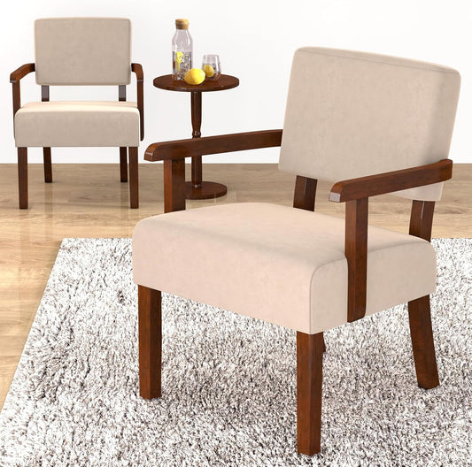 Accent Chair, Cat-Scratch Velvet Living Room Chairs Oversize with Soft Seat and Armrests for Dinning Room Bedroom Reading Room Waiting Room