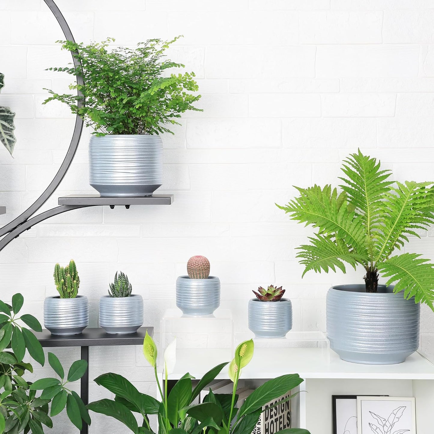 Mini Succulent Planter Set – 3.7 Inch Ceramic Pots with Drainage for Indoor Plants, Small Decorative Flower Pots for Cactus and House Plants, Set of 4