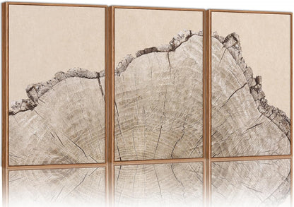 SIGNINART Large Tree Ring Framed Canvas Wall Art Set, Rustic Beige Wooden Wall Decor, Neutral Nature Wood Stump Artwork, Modern Art Prints for Bedroom Living Room Office 24"x36"x3