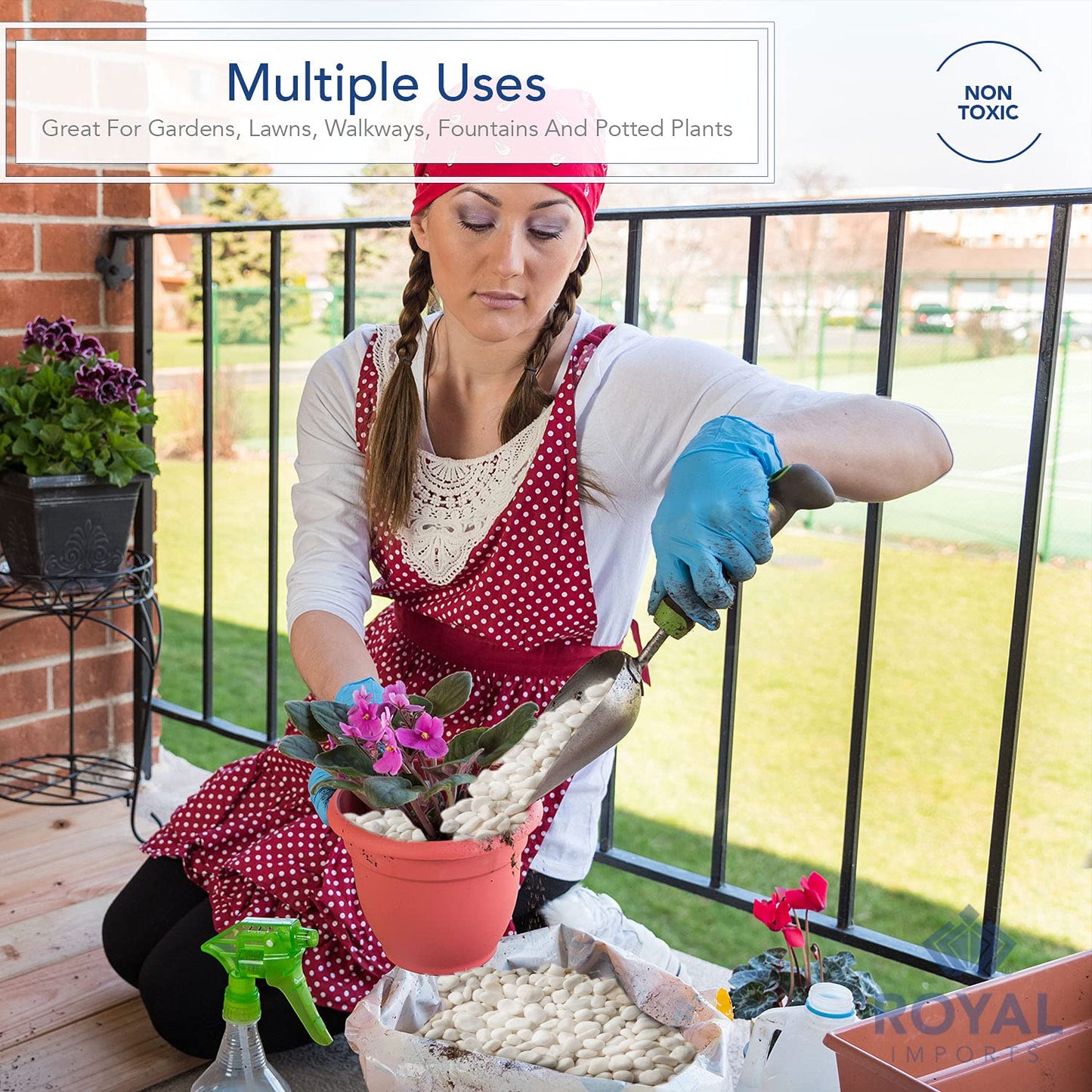 Royal Imports 5LB Decorative Stones River Pebbles Painting Rocks for Fish Aquariums, Plant Gravel, Landscaping, Home Decor Natural - Large White