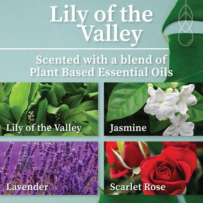 Hemlock Park Wood Wick Candle Handcrafted with Natural Coconut Wax and Essential Oils (Amber & Gold 7.2 oz, Lily of The Valley)