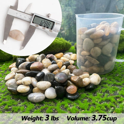 CJGQ Pebbles for Plants 3 lb Natural Garden Decorative Stone Outdoor Aquariums Gravel 1-1.5 Inches