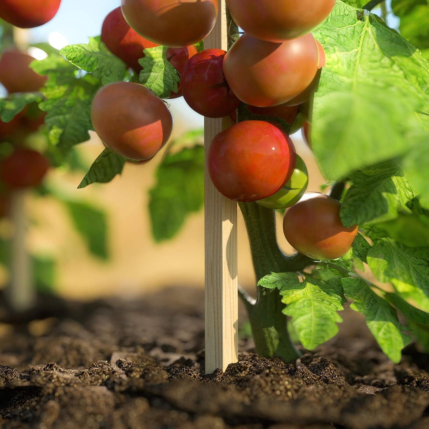 Greenes Fence 4 Ft. Garden and Sign Post Stakes (75 Pack)