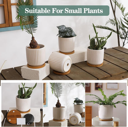 TAMAYKIM 4 Inch Ceramic Plant Pots with Drainage Holes, Modern Flower Planter with Saucer for Indoor Plants, Succulent, Cactus & Herbs, White, Set of 4 (Plants Not Included)