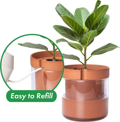 Phoenix Vine 8 Inch Self Watering Planter Pot, Terracotta Clay Pot with Glass Reservoir for Indoor Plants, Herbs, Flowers, Set of 1, 52-A-H-1