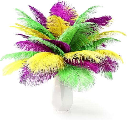 THARAHT Mix Colour Ostrich Feathers 12pcs Natural Bulk 10-12Inch 25cm-30cm for Wedding Party