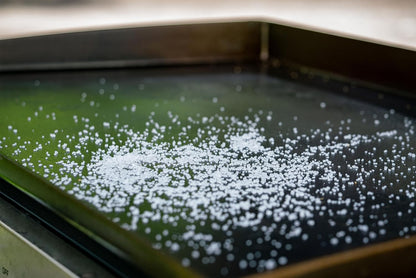 CARON & DOUCET - 100% Plant-Based Griddle Cleaning Soap and Salt Scrub Set: Best for Removing Rust & Cleaning Burnt On Food While Seasoning Griddle