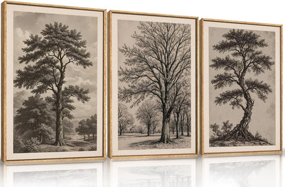 HPINUB Vintage Sketch Tree Framed Canvas Wall Art Set,Modern Nature Botanical Wall Decor, Antique Wilderness Tree Artwork,Minimalist Neutral Art Prints for Living Room,Bedroom,Farmhouse-24 x36 x3