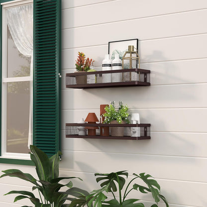 PUSDON Metal Wall Hanging Basket 2 Packs DIY Suitable for Multiple Scenes - Large Bronze Netting