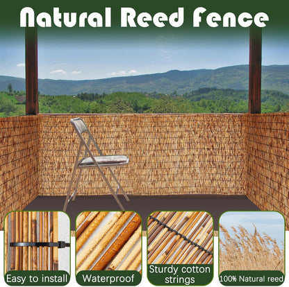Barydat 2 Pcs 4 x 16.4 ft Bamboo Privacy Screen, Reed Fence Roller Patio Decorative Fences Reed Screen Curtain for Garden Backyard Patio Balconies