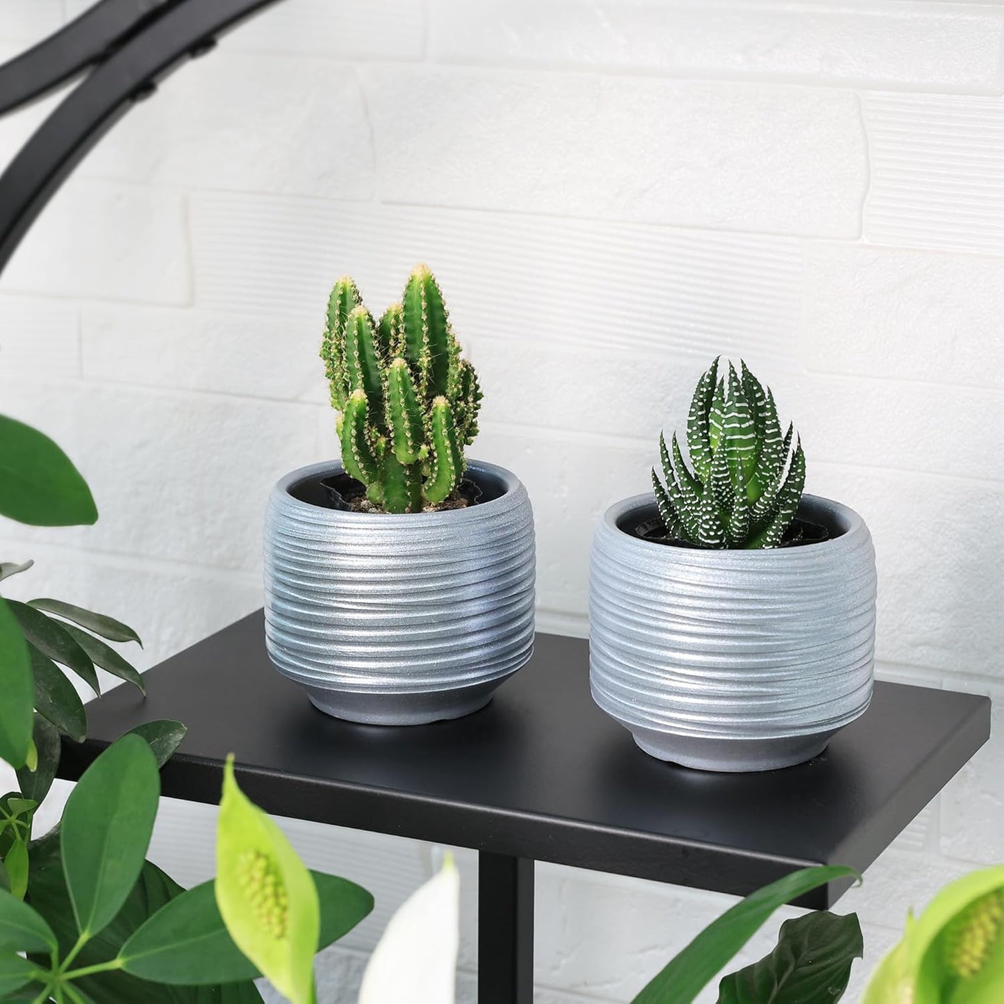 Mini Succulent Planter Set – 3.7 Inch Ceramic Pots with Drainage for Indoor Plants, Small Decorative Flower Pots for Cactus and House Plants, Set of 4