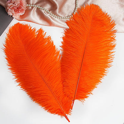 THARAHT Orange Ostrich Feathers 12pcs Large Natural Bulk 12-14Inch 30cm-35cm for Wedding Party Centerpieces Halloween and Home Decoration Feathers