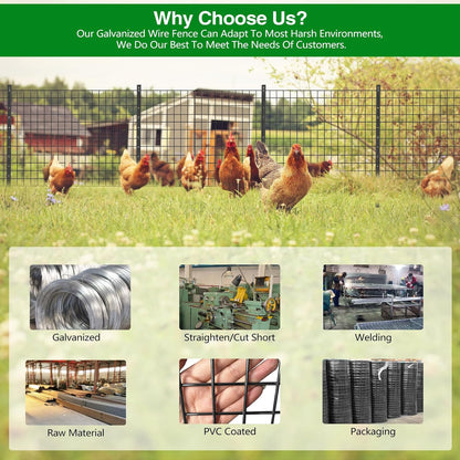 Wire Fence, 36 in(H) X 25 ft(L) PVC Coated Welded Wire Fencing 2" X 2" 16GA Garden Border Vinyl Metal Chicken Wire Fencing Mesh Roll for Yard Vegetable Plant Protection Poultry Netting Black