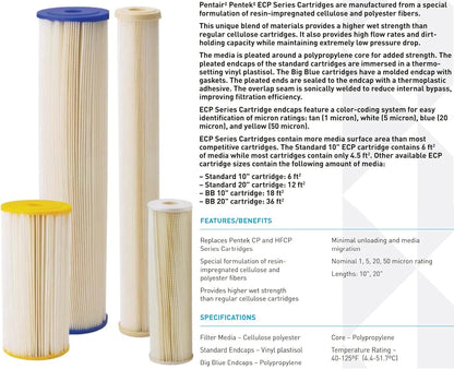 Pentair Pentek Big Blue Filter Housing and Sediment Water Filter Cartridge Bundle
