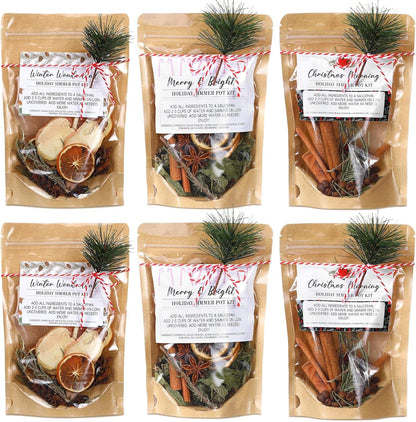 6 Pack Christmas Potpourri Simmer Pot Kit, Holiday Stovetop Potpourri, Botanical Air Freshener Sachets, Festive Bowl Filler Decor for Home Fragrance, Housewarming & Hostess Gifts