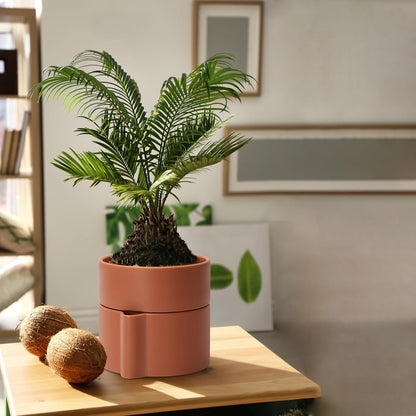 Phoenix Vine 6.5 Inch Self-Watering Planter Pot with Terracotta Insert, Deep Water Reservoir, and Ceramic-Alike BPA-Free Plastic Pot for Plant, Modern Planter for Houseplants, Terracotta, 53-A-S-3