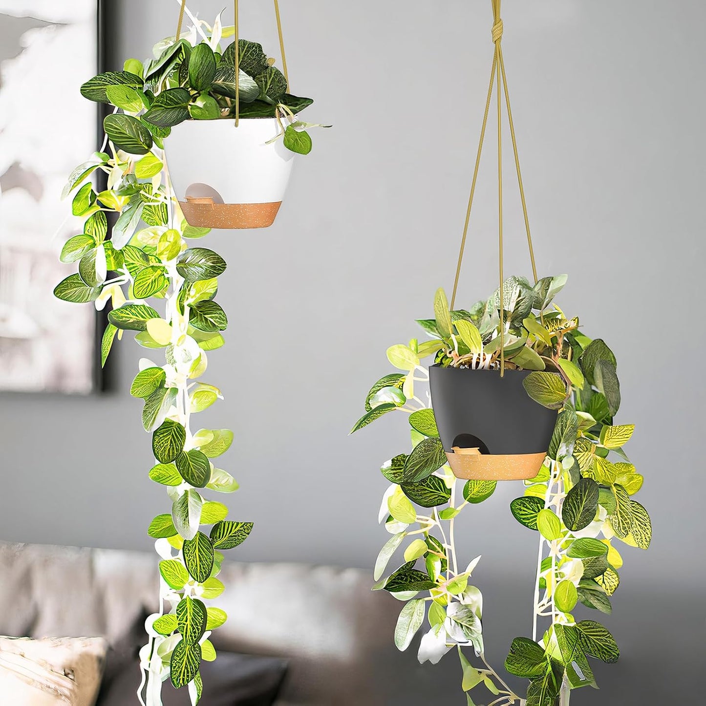 ZMTECH 6.5 Inch Hanging Planters for Indoor Outdoor Plants, 2 Pack Self Watering Hanging Plant Pots with Drainage Holes and Removable Saucer, Plastic Flower Hanging Pots with Watering Lip (Black)