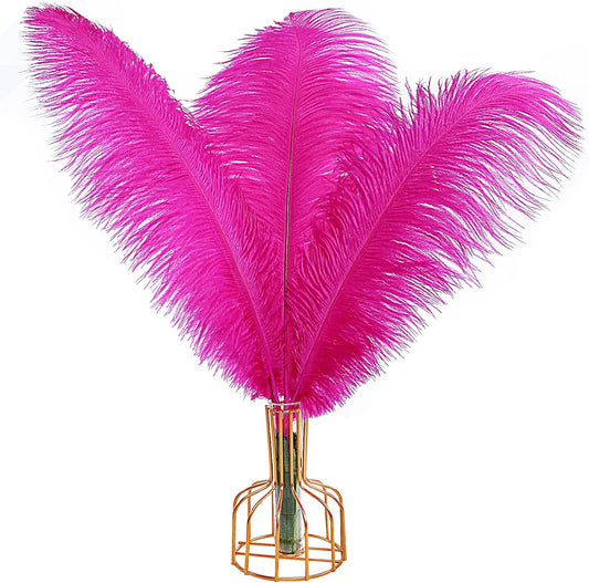 THARAHT Hot Pink Ostrich Feathers 12pcs Large Natural Bulk 20-22Inch 50cm-55cm for Wedding Party