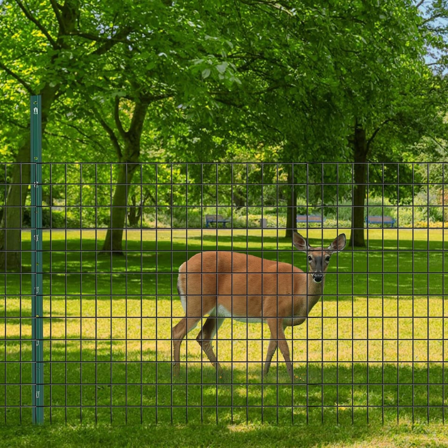 Welded Wire Fence, 50ft(L) x 36inch(H) PVC Coated Wire Fencing for Dog, 2 Inch x 3 Inch 16GA Fencing for Chicken, Anti-Rust Roll Metal Wire Mesh Fence for Yard Vegetable, Black