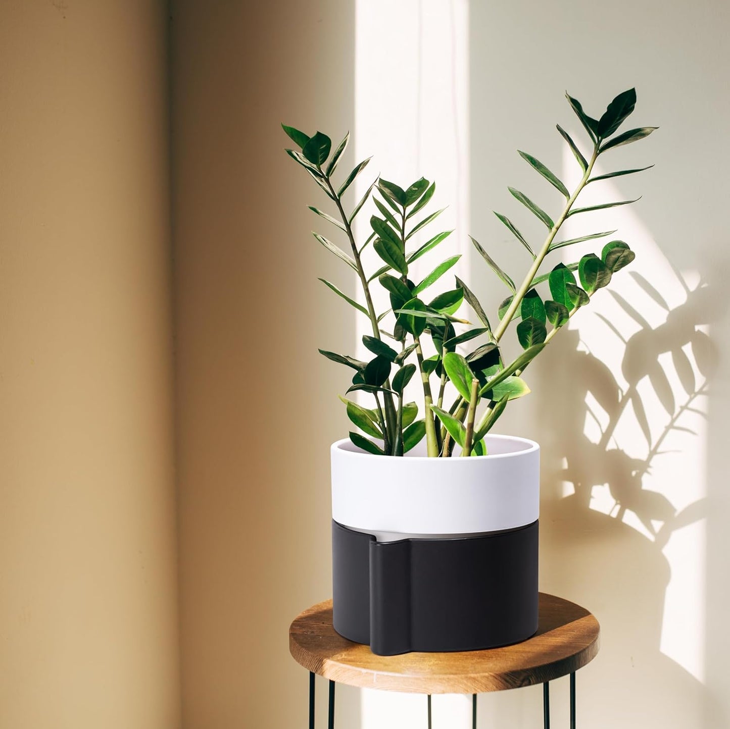 8 Inch Self-Watering Planter Pot with Terracotta Insert, Deep Water Reservoir, and Ceramic-Alike BPA-Free Plastic Planter Pot for Plant, Modern Planter for Houseplants, Black/White, 53-C-T-7