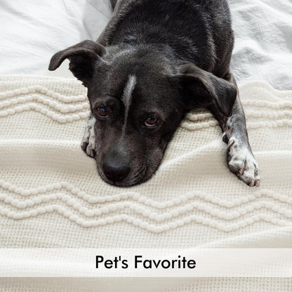 MIULEE Off White Knitted Throw Blanket for Couch Textured Knit Blanket with Tassels Cozy Woven Boho Bed Blanket for Sofa Bed Chair Acrylic Wave Pattern 50"x60"