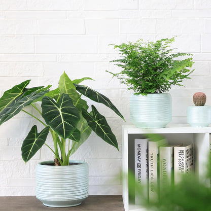 8 Inch + 6 Inch Ceramic Plant Pots Indoor with Drainage – Flower Pot Set, Decorative Indoor Planters for House Plants and Garden Use