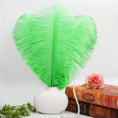 THARAHT Green Ostrich Feathers 12pcs Large Natural Bulk 16-18Inch 40cm-45cm for Wedding Party Centerpieces Mardi Gras and Home Decoration Feathers