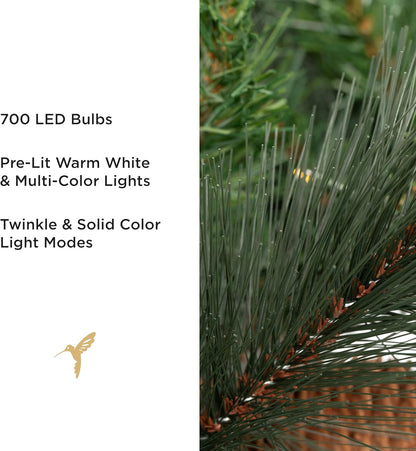 Papyrus 7 ft Pre-Lit Artificial Christmas Tree, Carolina Pine, Pine Cones, Warm White Lights, Includes Stand and Storage Bag