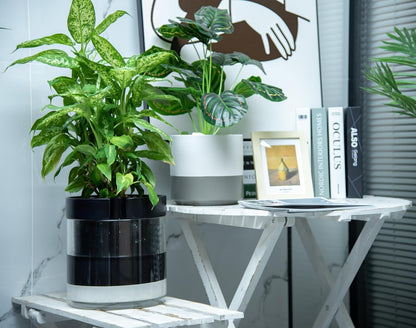 Phoenix Vine 10 Inch Self Watering Terracotta Planter, Black Terracotta Clay Pot with Glass Reservoir for Indoor Plants, Herbs, Flowers, Set of 1, 52-C-I-1