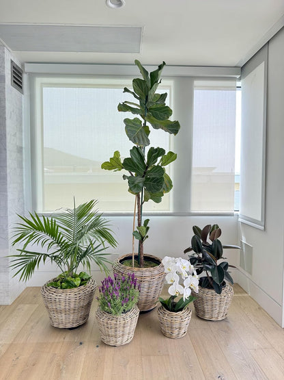 Rattan Kobo Indoor Outdoor Planter Basket with Plastic Pot X Large 12 Gallon Soil Capacity