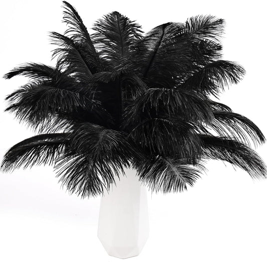 THARAHT Black Ostrich Feathers 24pcs Natural Bulk 10-12Inch 25cm-30cm for Crafts Wedding Party