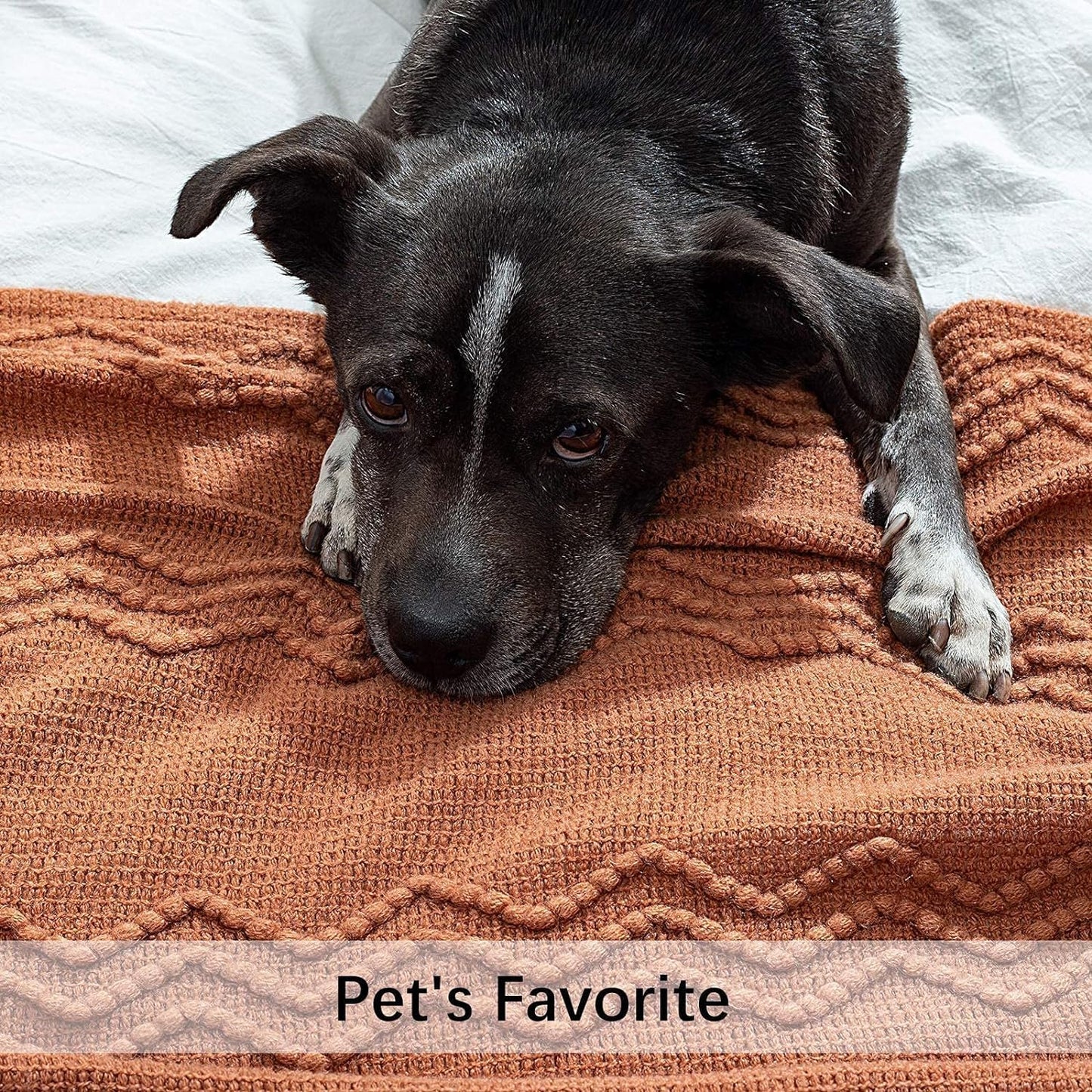 MIULEE Fall Orange Knitted Throw Blanket for Couch Boho Terracotta Rust Textured Cozy Woven Blanket with Tassels for Sofa Chair Bed Living Room Acrylic Wave Pattern 60"x80"