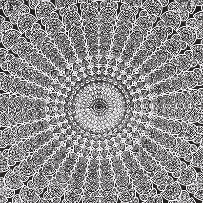 Bless International Handmade Indian hippie Bohemian Psychedelic Peacock Mandala Wall hanging College Dorm Beach Throws Table Cloth Bedding Tapestry (Black White, King(88x104Inches)(225x265Cms))